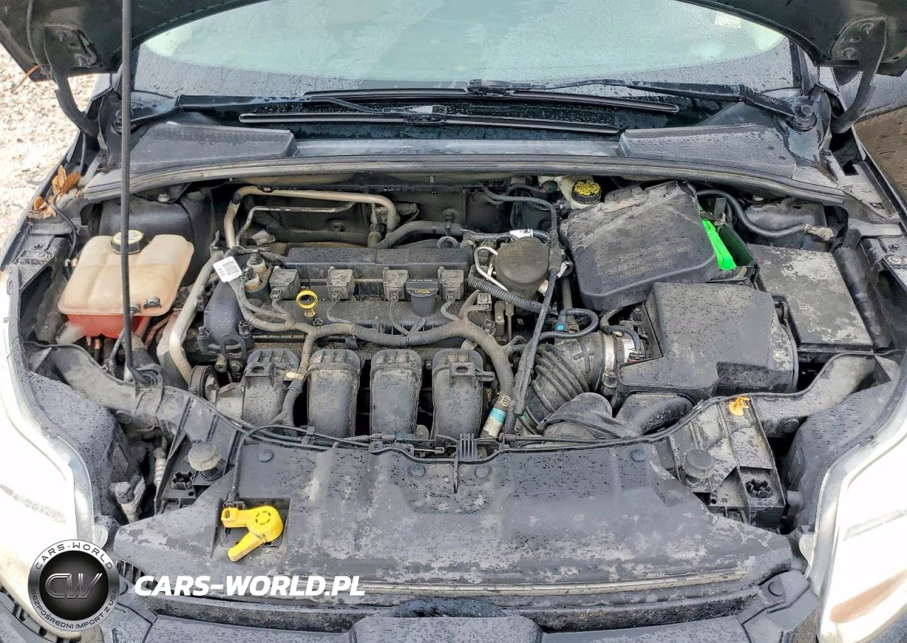 2012 Ford Focus Sel VIN:1FAHP3M20CL342911 - 11