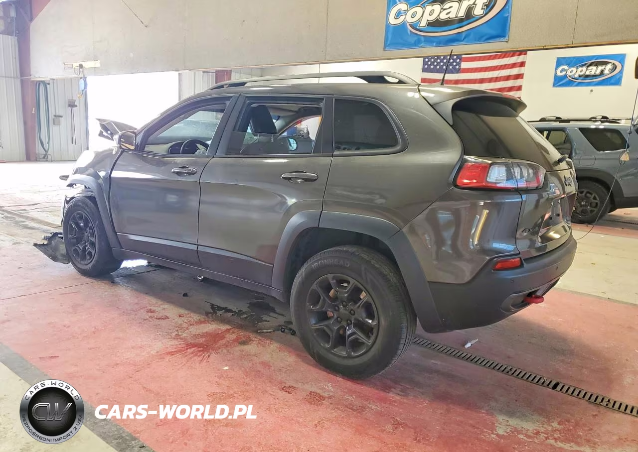 2019 Jeep Cherokee Trailhawk VIN:1C4PJMBX7KD245130 - 2