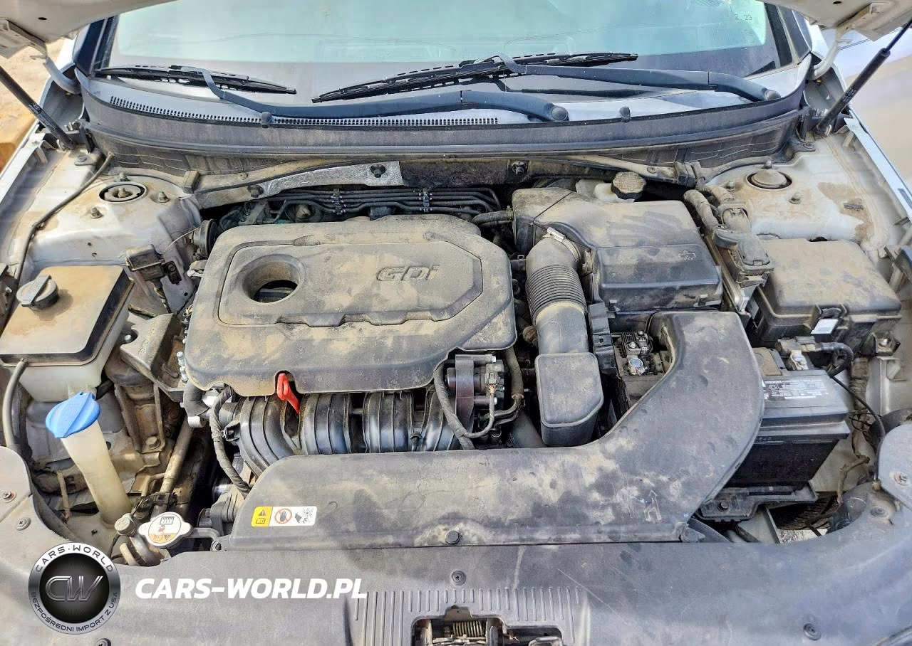 2015 Hyundai Sonata Se VIN:5NPE24AF7FH123381 - 11