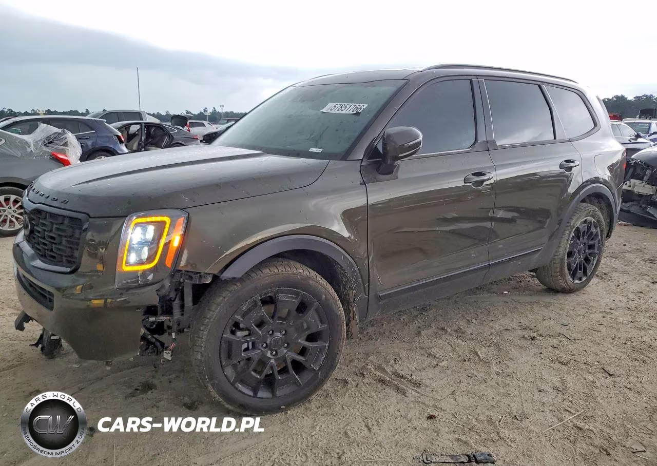 2021 Kia Telluride Sx VIN:5XYP5DHC6MG125834 - 1