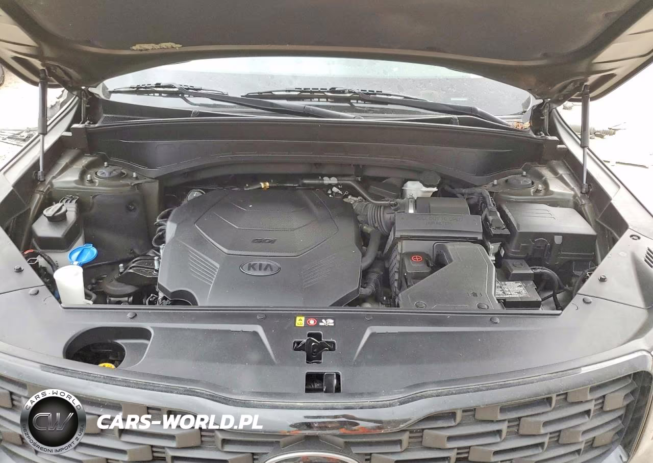 2021 Kia Telluride Sx VIN:5XYP5DHC6MG125834 - 12