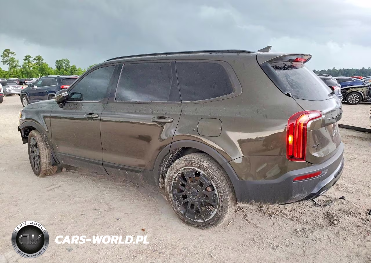 2021 Kia Telluride Sx VIN:5XYP5DHC6MG125834 - 2