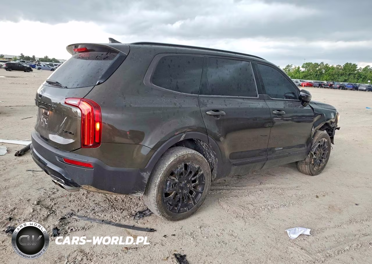 2021 Kia Telluride Sx VIN:5XYP5DHC6MG125834 - 3