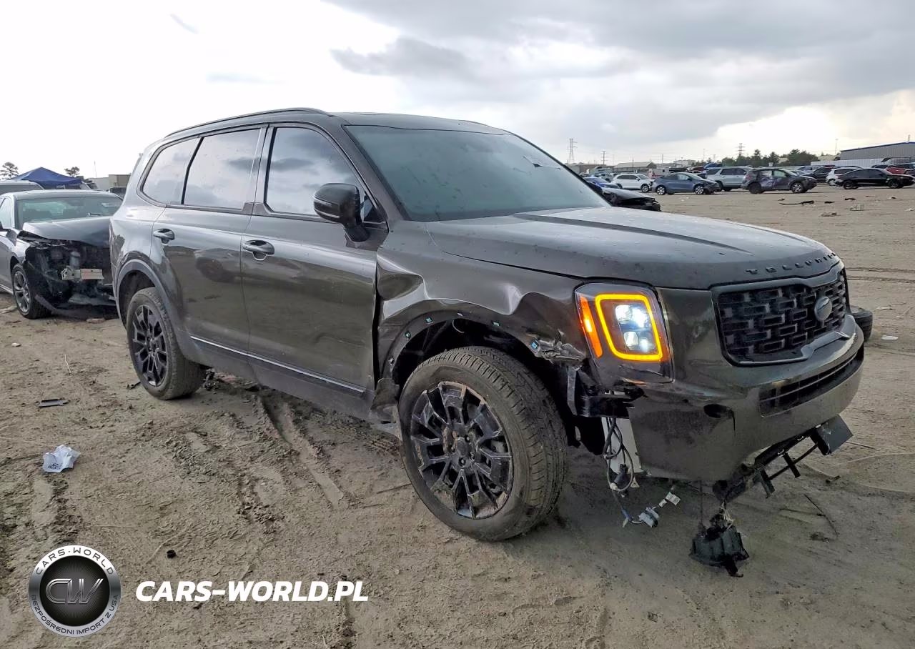 2021 Kia Telluride Sx VIN:5XYP5DHC6MG125834 - 4