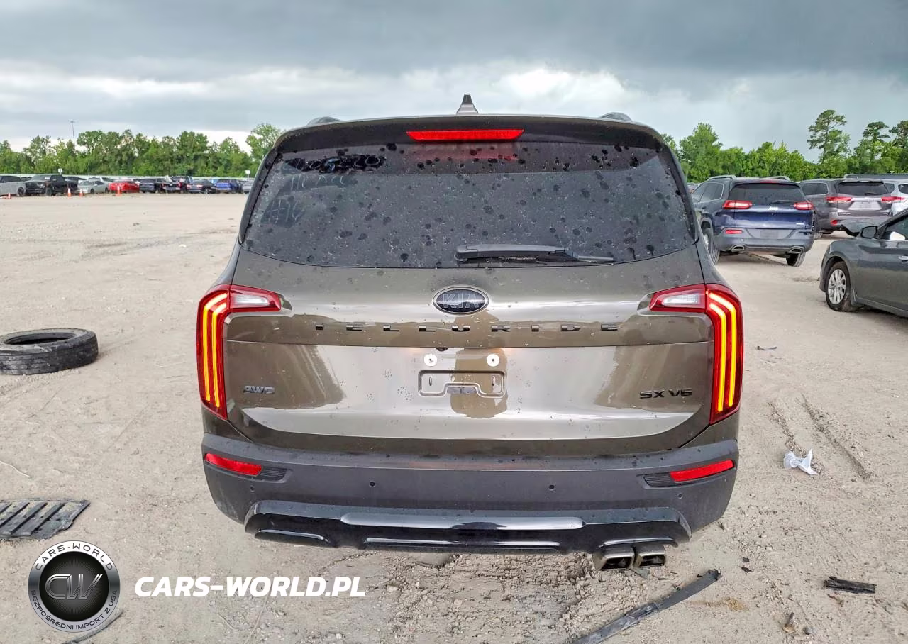 2021 Kia Telluride Sx VIN:5XYP5DHC6MG125834 - 6