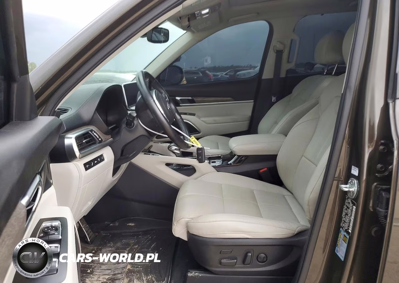 2021 Kia Telluride Sx VIN:5XYP5DHC6MG125834 - 7