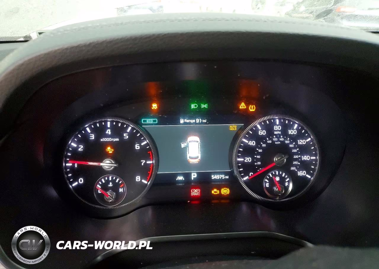2021 Kia Telluride Sx VIN:5XYP5DHC6MG125834 - 9