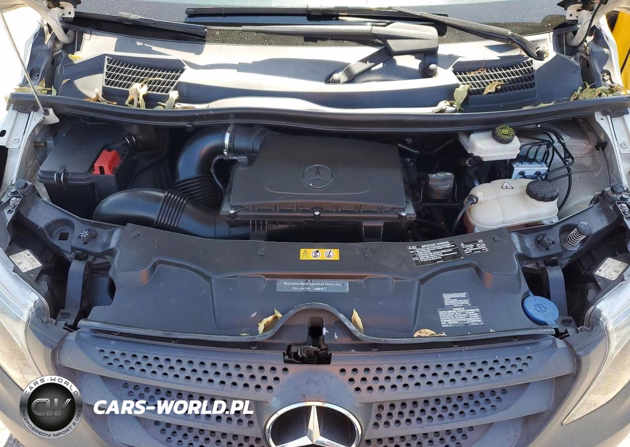 2019 Mercedes-Benz Metris VIN:WD3PG2EA5K3549227 - 12