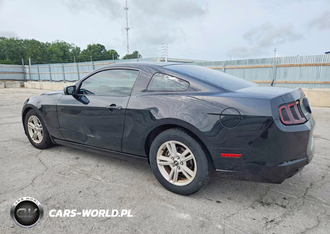 2014 Ford Mustang VIN:1ZVBP8AM7E5266112 - 2