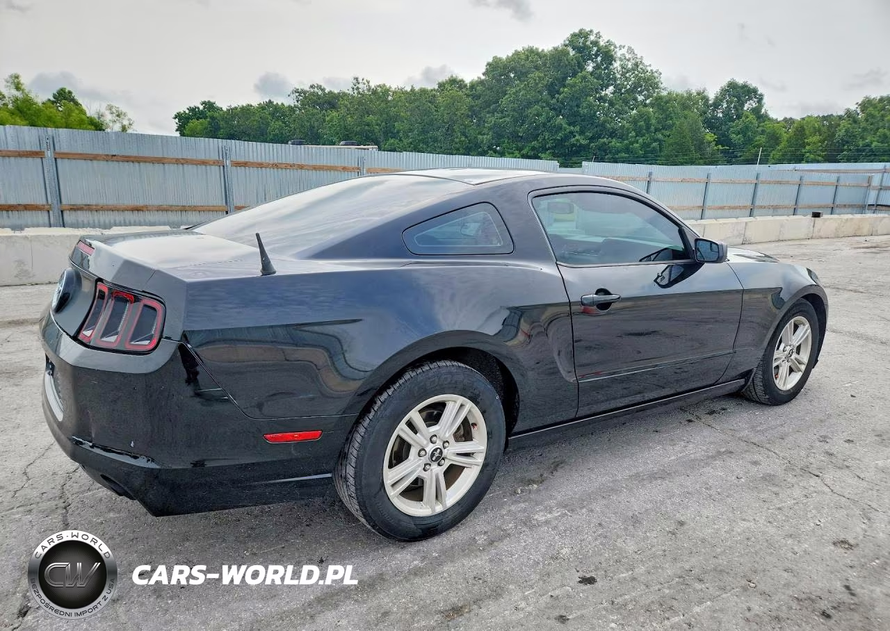 2014 Ford Mustang VIN:1ZVBP8AM7E5266112 - 3