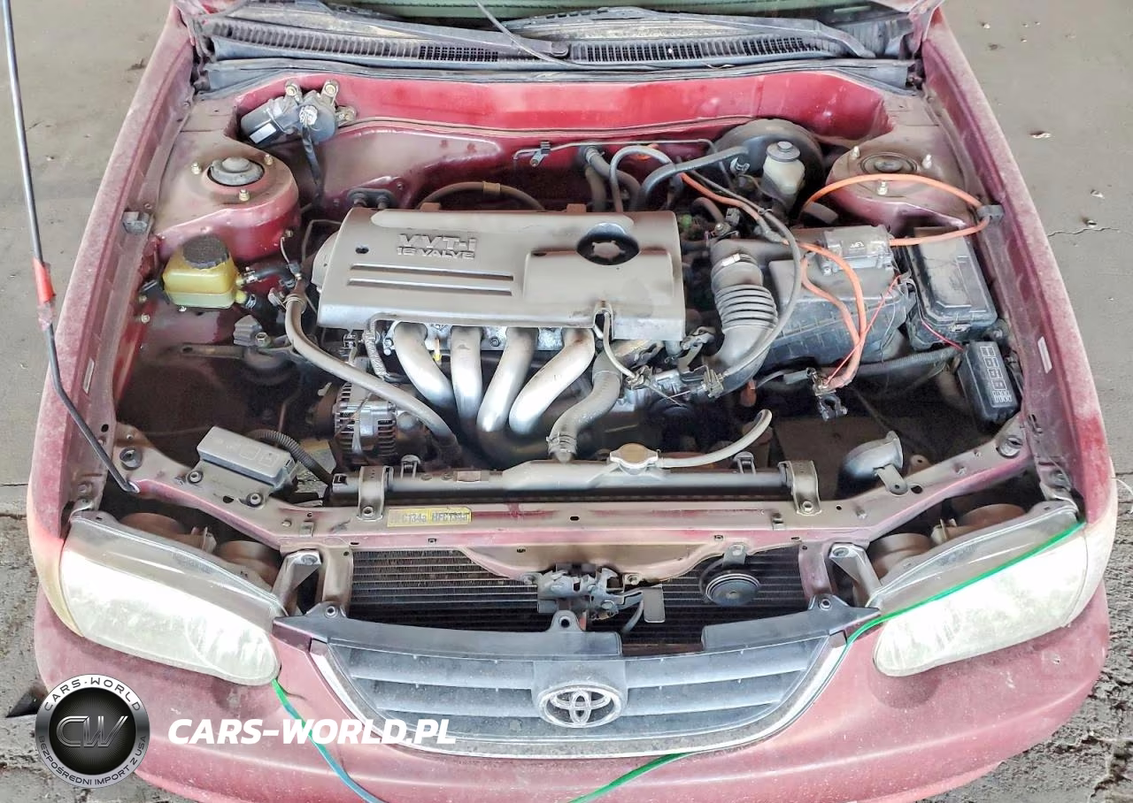 2001 Toyota Corolla Ce VIN:1NXBR12E91Z457859 - 11