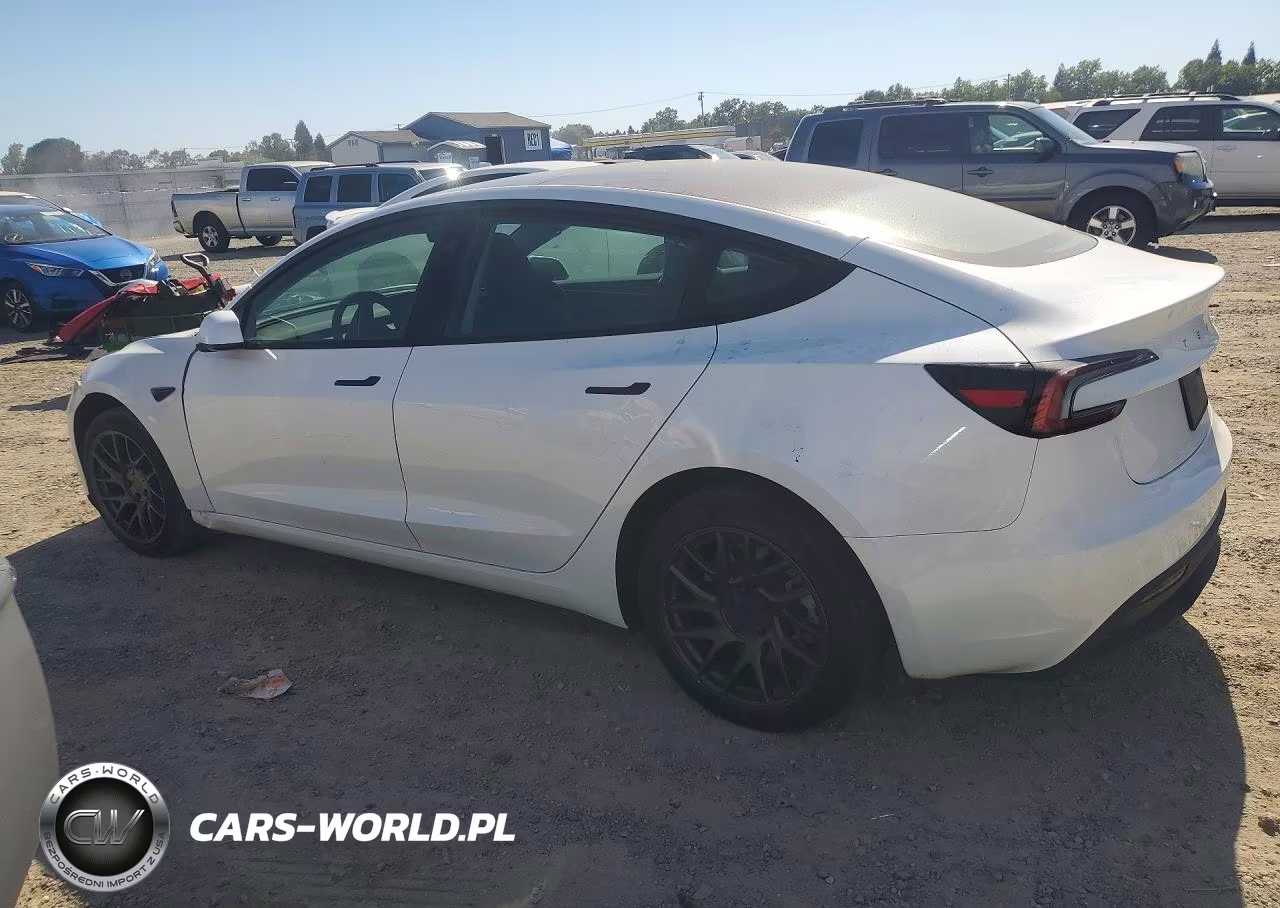 2025 Tesla Model 3 VIN:5YJ3E1EAXSF914640 - 2