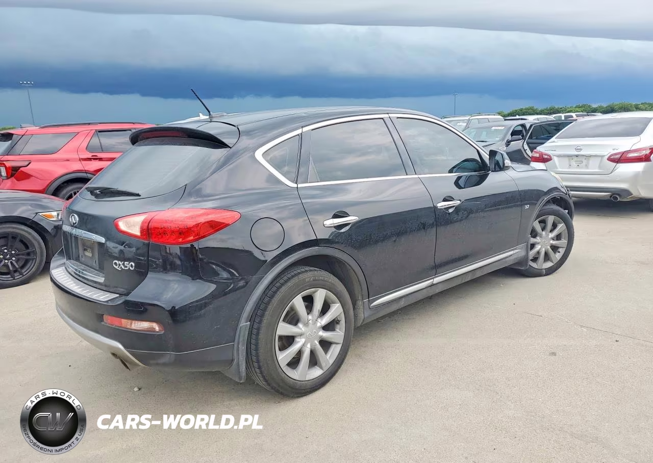 2017 Infiniti Qx50 Base VIN:JN1BJ0RP5HM383740 - 3