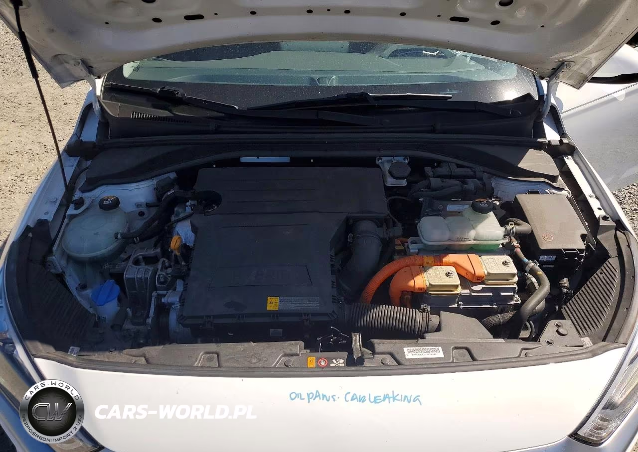 2020 Hyundai Ioniq Blue VIN:KMHC65LC9LU210121 - 12