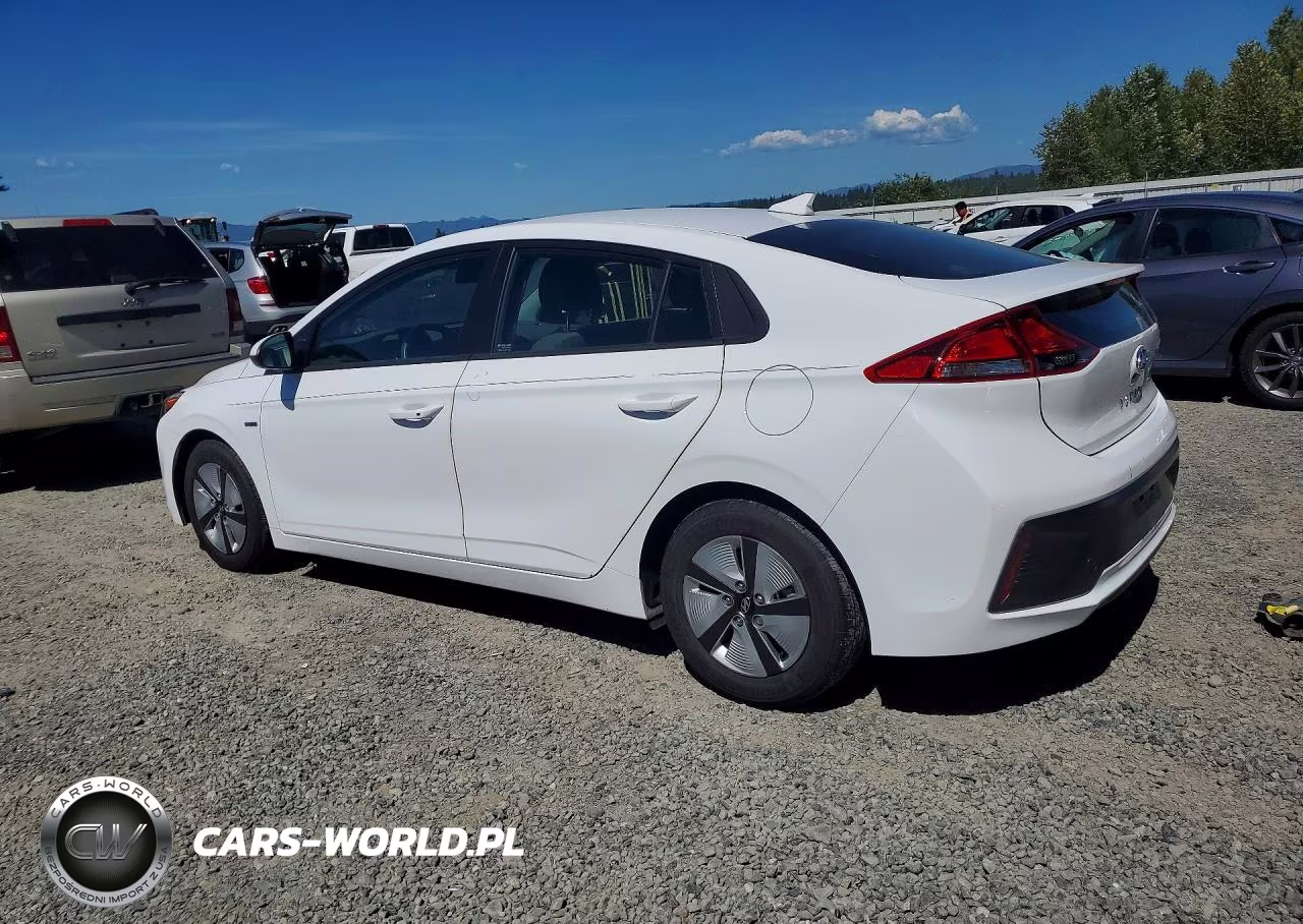 2020 Hyundai Ioniq Blue VIN:KMHC65LC9LU210121 - 2