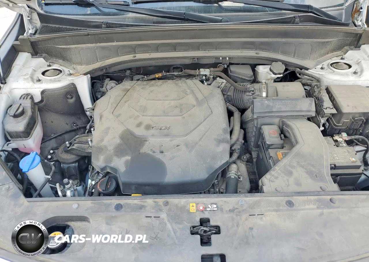 2022 Kia Telluride Lx VIN:5XYP2DHC5NG237437 - 12