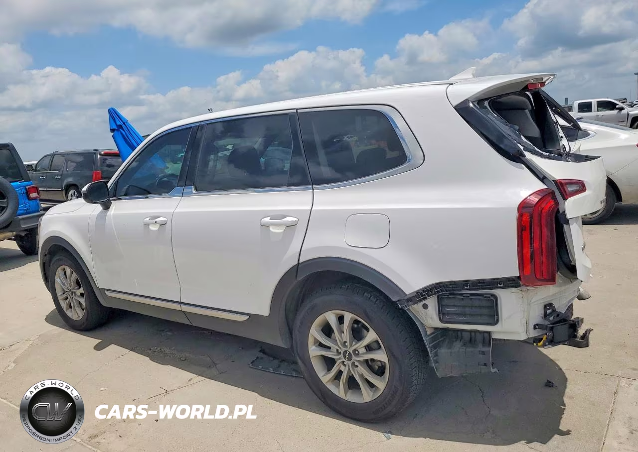 2022 Kia Telluride Lx VIN:5XYP2DHC5NG237437 - 2