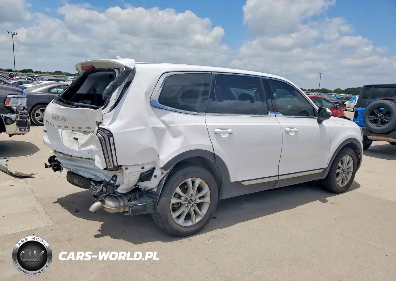 2022 Kia Telluride Lx VIN:5XYP2DHC5NG237437 - 3
