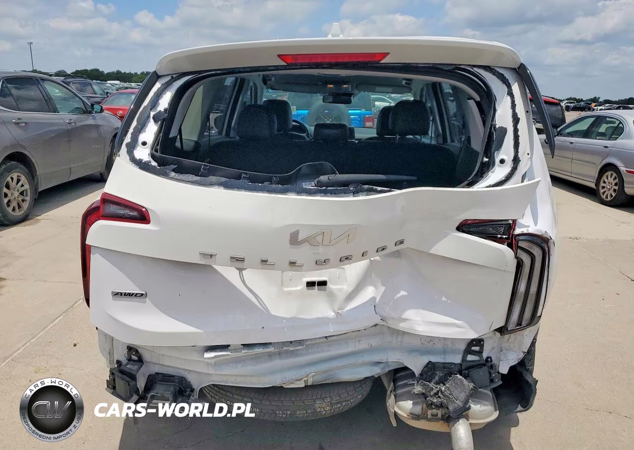 2022 Kia Telluride Lx VIN:5XYP2DHC5NG237437 - 6