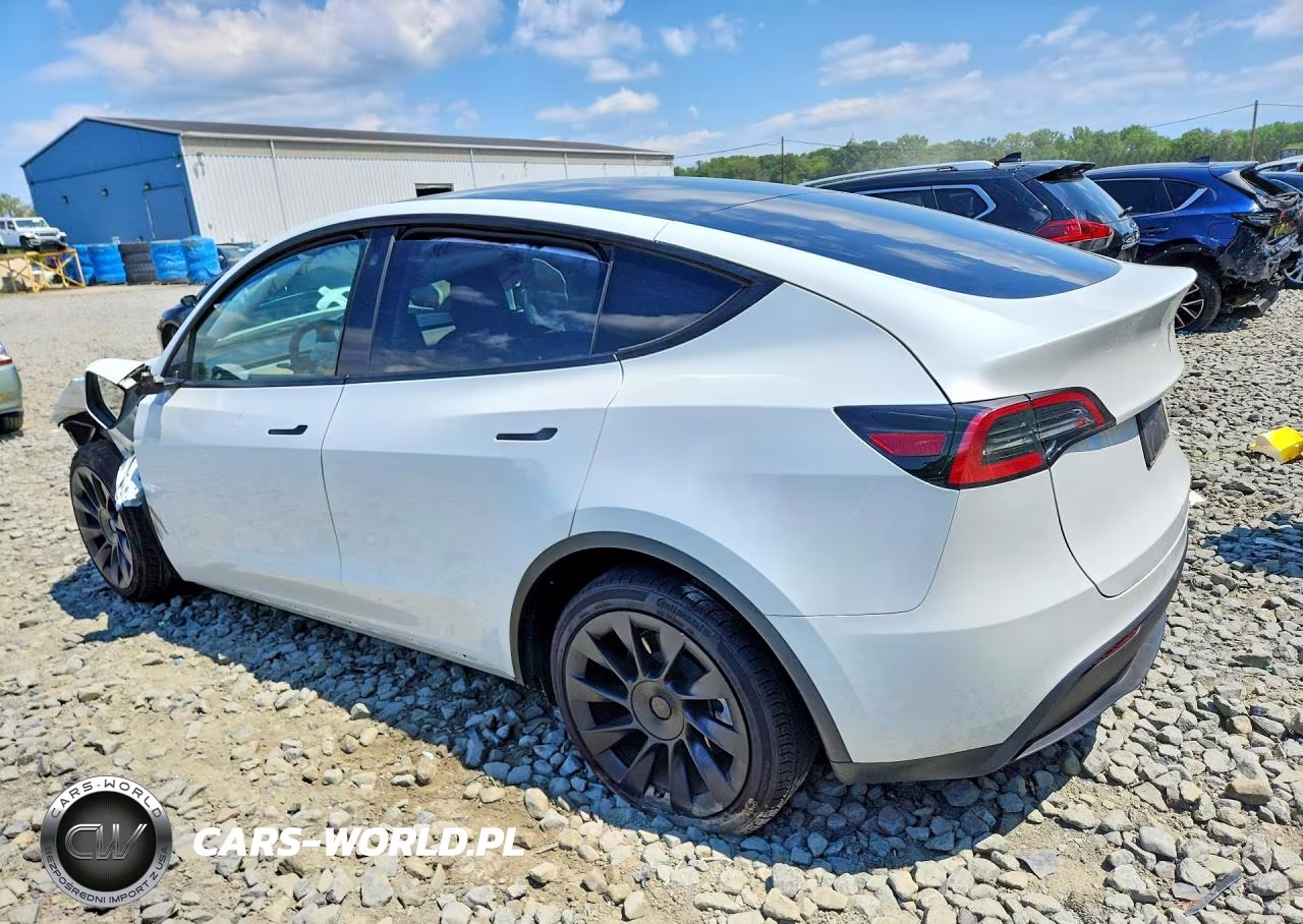 2023 Tesla Model Y VIN:7SAYGDEE4PA075385 - 2