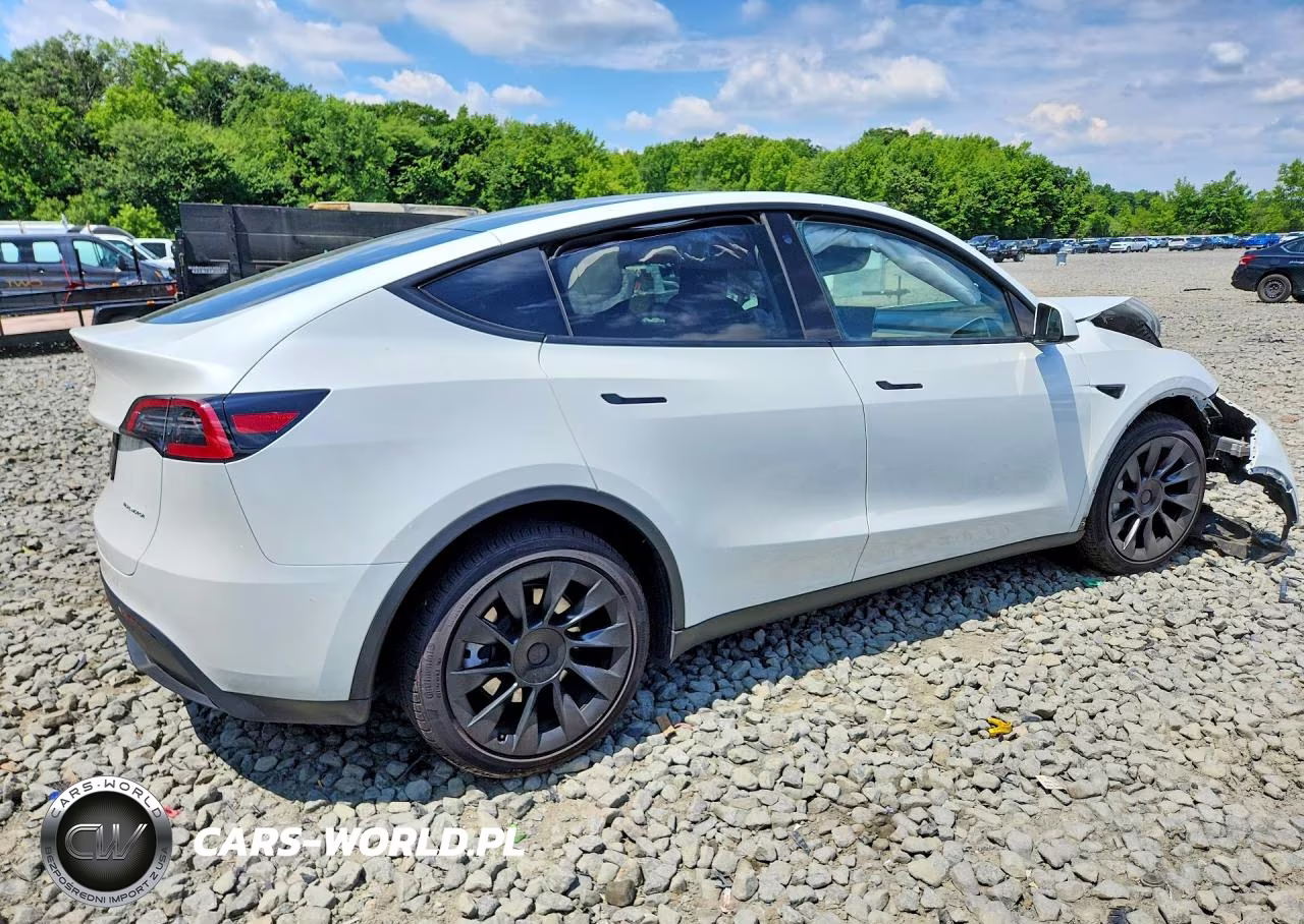 2023 Tesla Model Y VIN:7SAYGDEE4PA075385 - 3