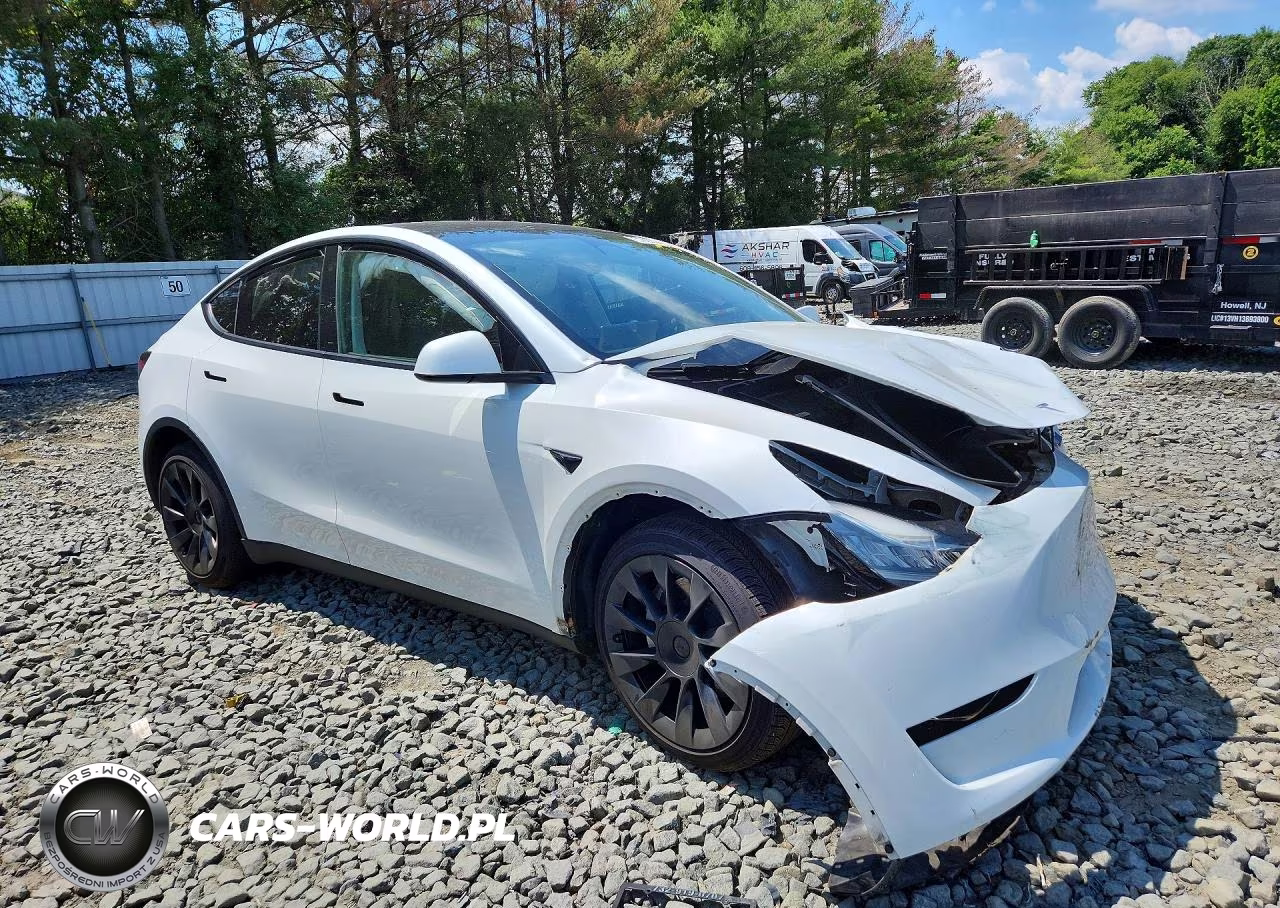 2023 Tesla Model Y VIN:7SAYGDEE4PA075385 - 4