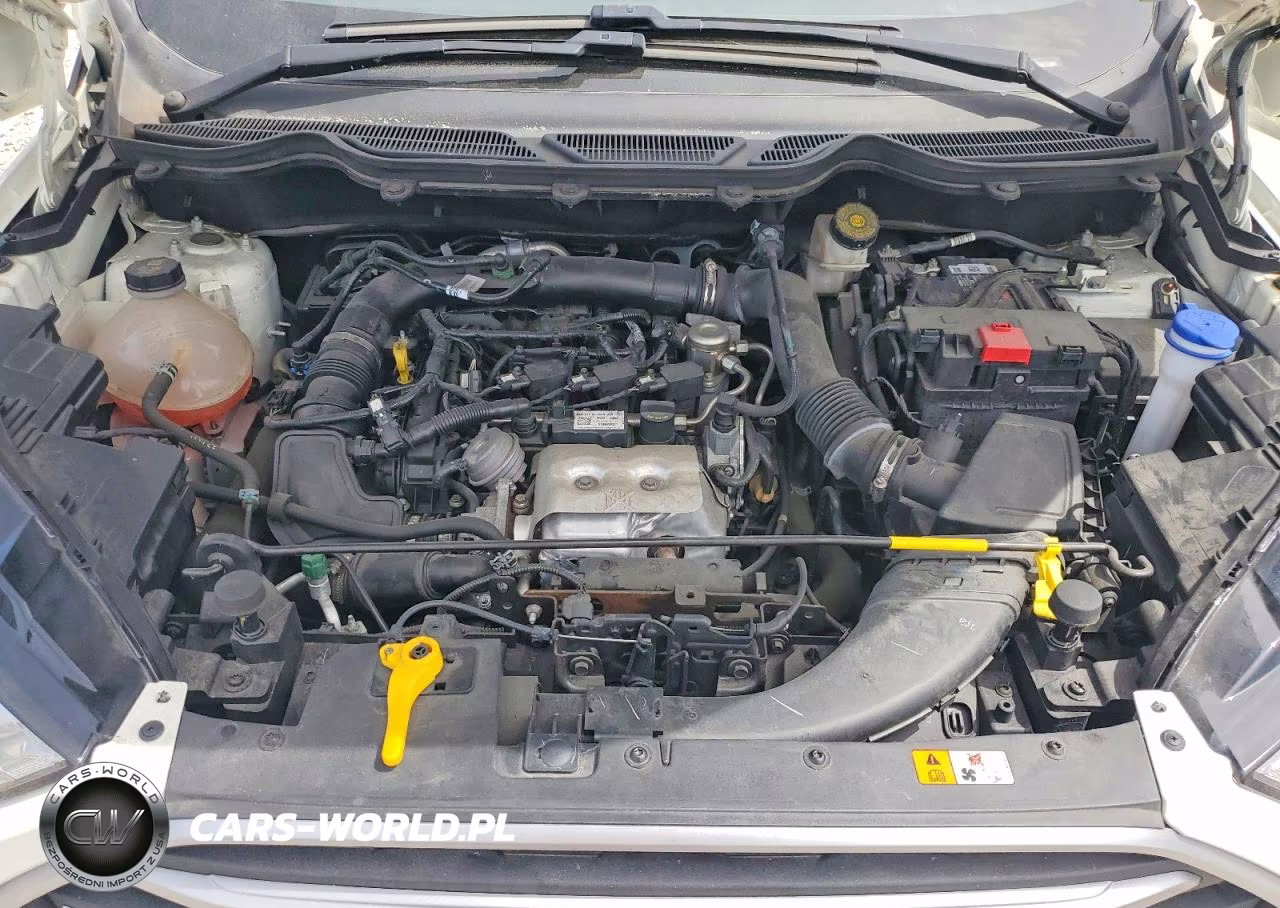2021 Ford Ecosport Se VIN:MAJ3S2GE4MC449566 - 11