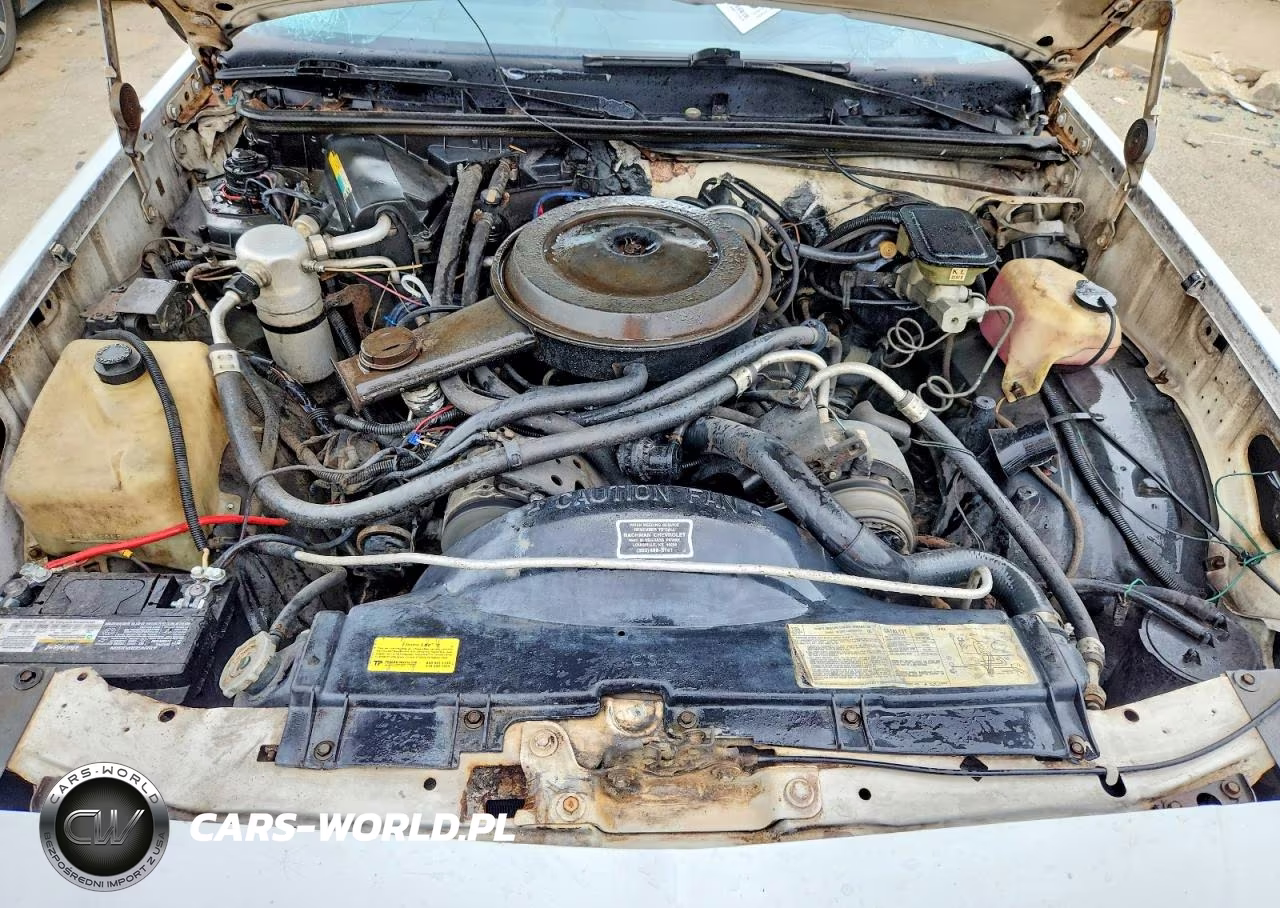 1986 Chevrolet El Camino VIN:3GCCW80H6GS914031 - 11