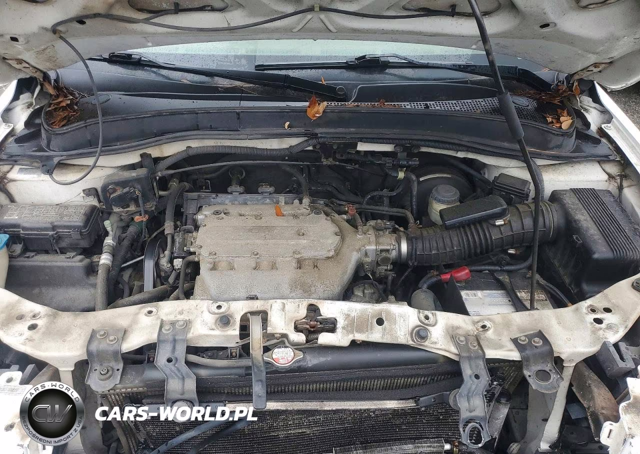 2008 Honda Pilot Vp VIN:5FNYF28248B023099 - 11