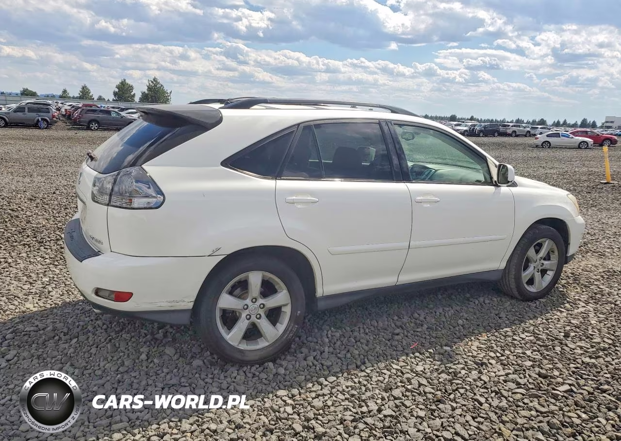 2005 Lexus Rx 330 VIN:JTJGA31U150049131 - 3