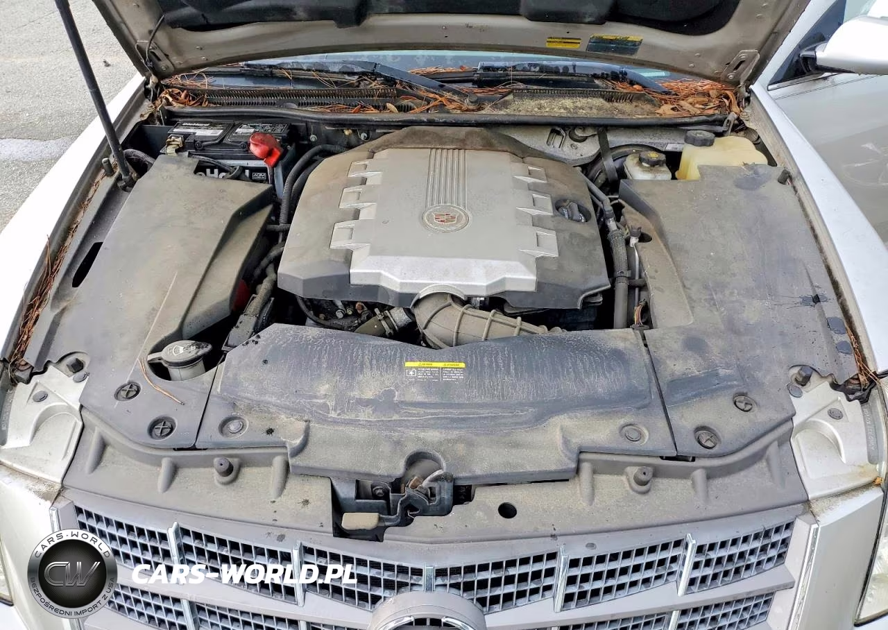 2008 Cadillac Sts VIN:1G6DA67V280197464 - 11