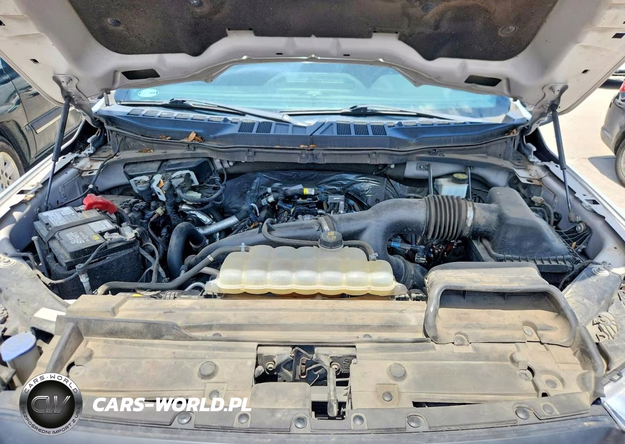 2021 Ford F150 Supercrew VIN:1FTEW1CP9MKE74462 - 11