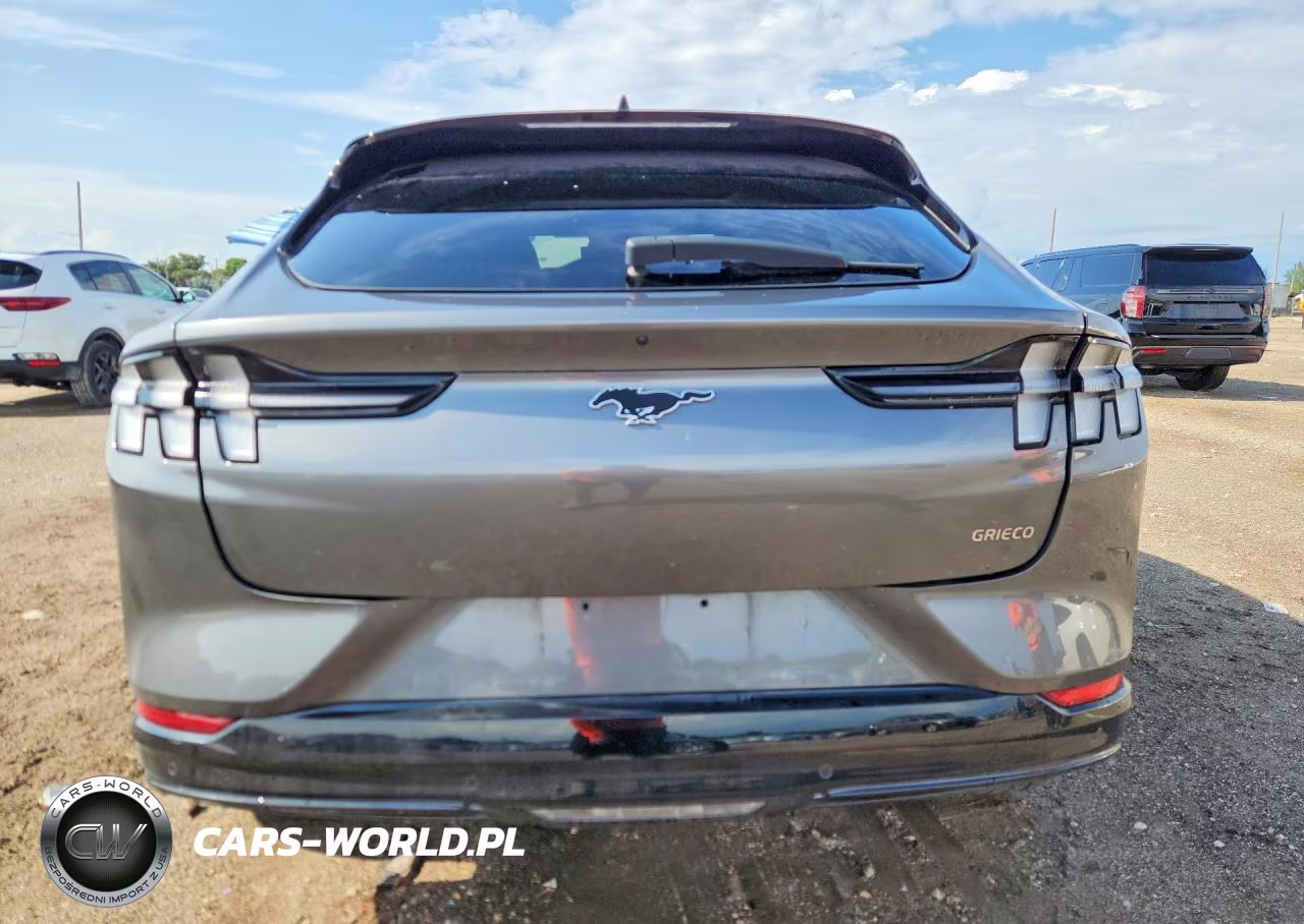 2023 Ford Mustang Mach-E Premium VIN:3FMTK3R72PMA54749 - 6