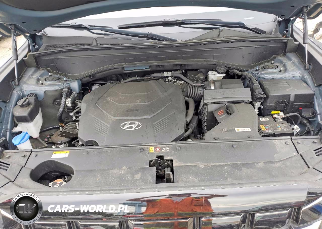2024 Hyundai Palisade Xrt VIN:KM8R3DGE6RU675845 - 12