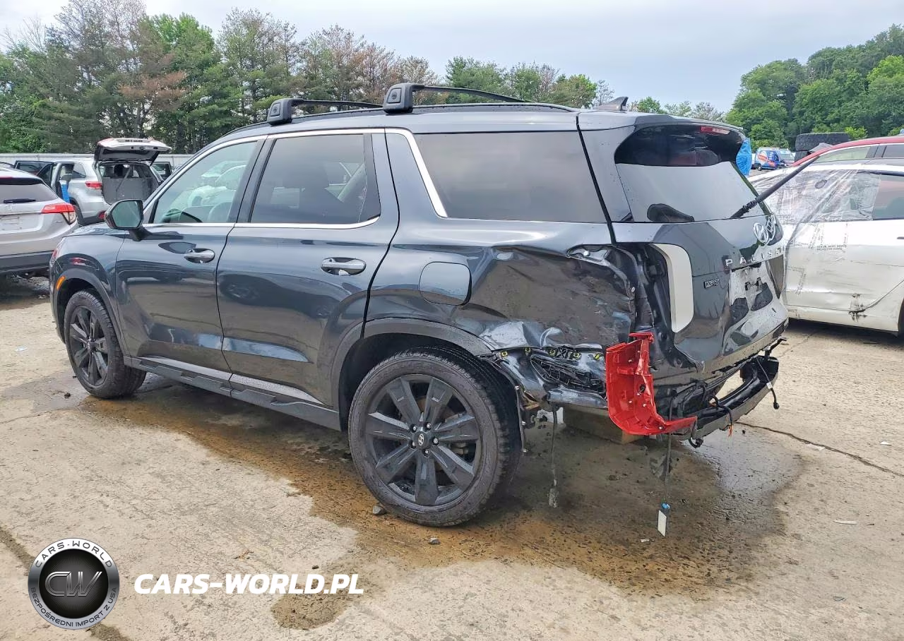 2024 Hyundai Palisade Xrt VIN:KM8R3DGE6RU675845 - 2