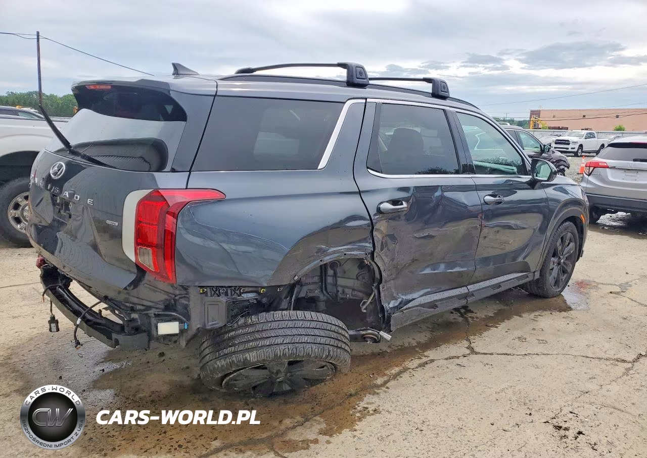 2024 Hyundai Palisade Xrt VIN:KM8R3DGE6RU675845 - 3