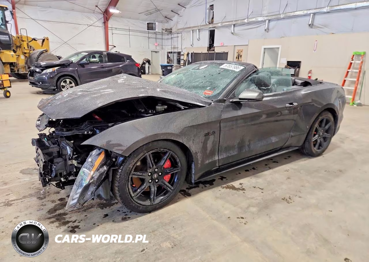 2020 Ford Mustang Gt – zdjęcie 1 z 13