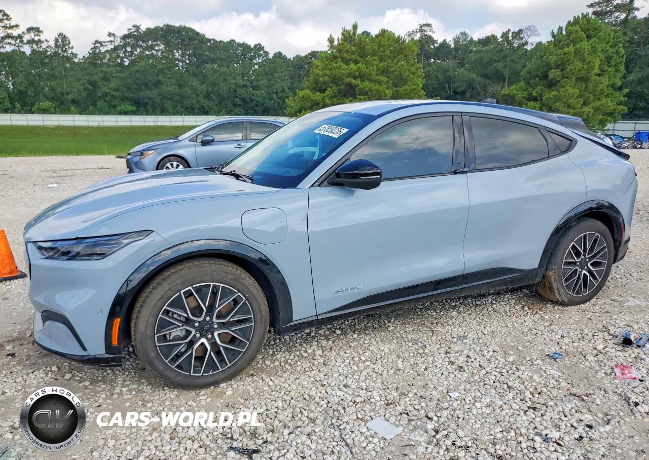2024 Ford Mustang Mach-E – zdjęcie 1 z 13