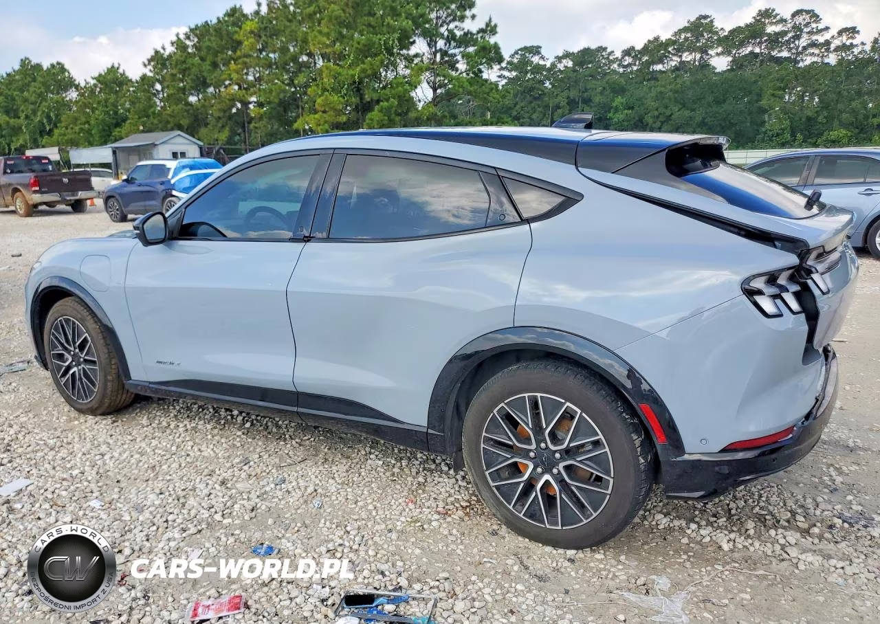 2024 Ford Mustang Mach-E VIN:3FMTK3R44RMA20787 - 2