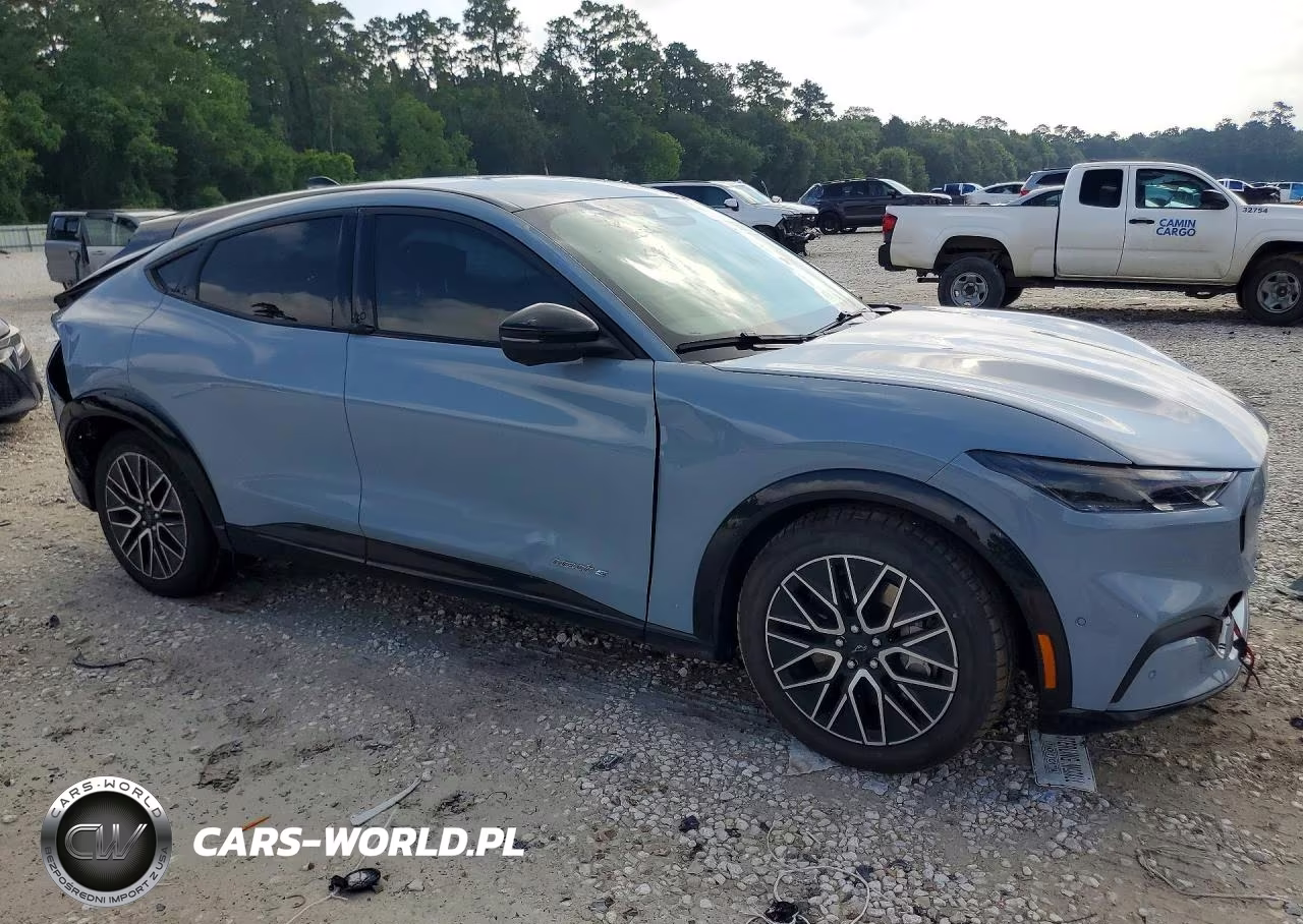 2024 Ford Mustang Mach-E VIN:3FMTK3R44RMA20787 - 4