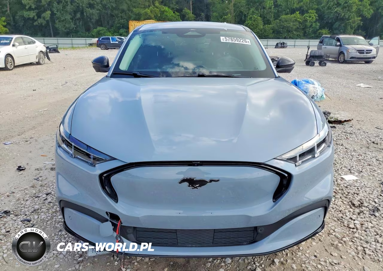2024 Ford Mustang Mach-E VIN:3FMTK3R44RMA20787 - 5