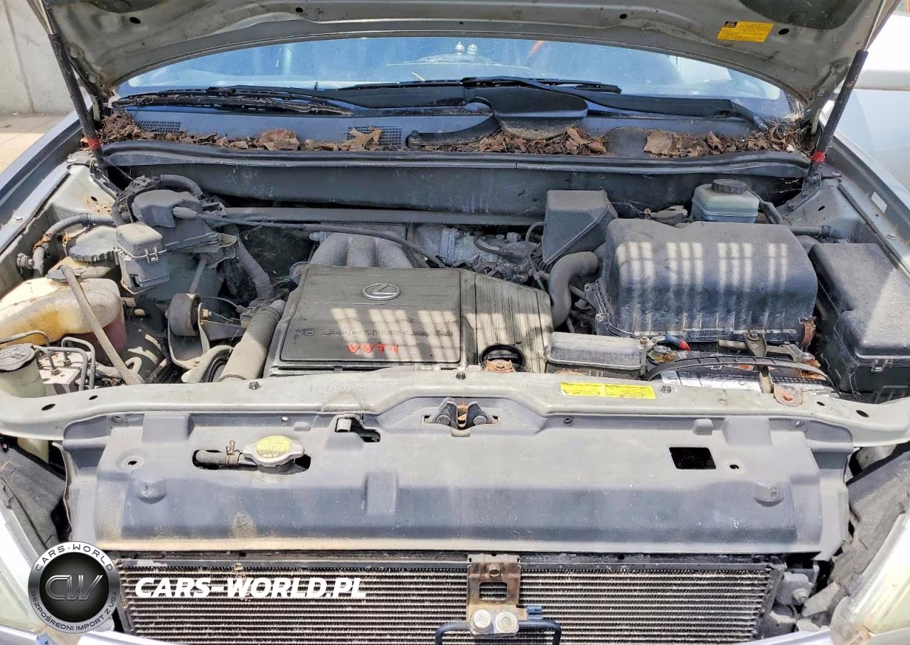 2003 Lexus Rx 300 VIN:JTJHF10U230301994 - 12