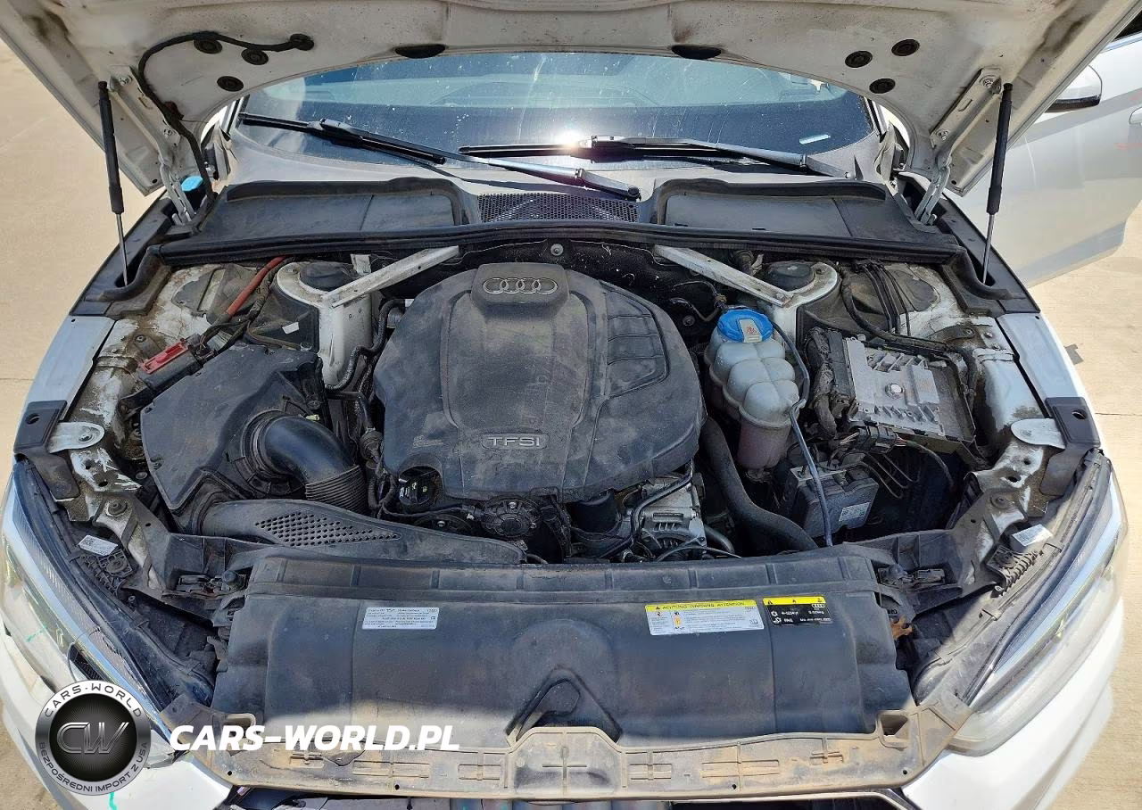2019 Audi A5 Premium Plus S-Line VIN:WAUENCF5XKA005454 - 11