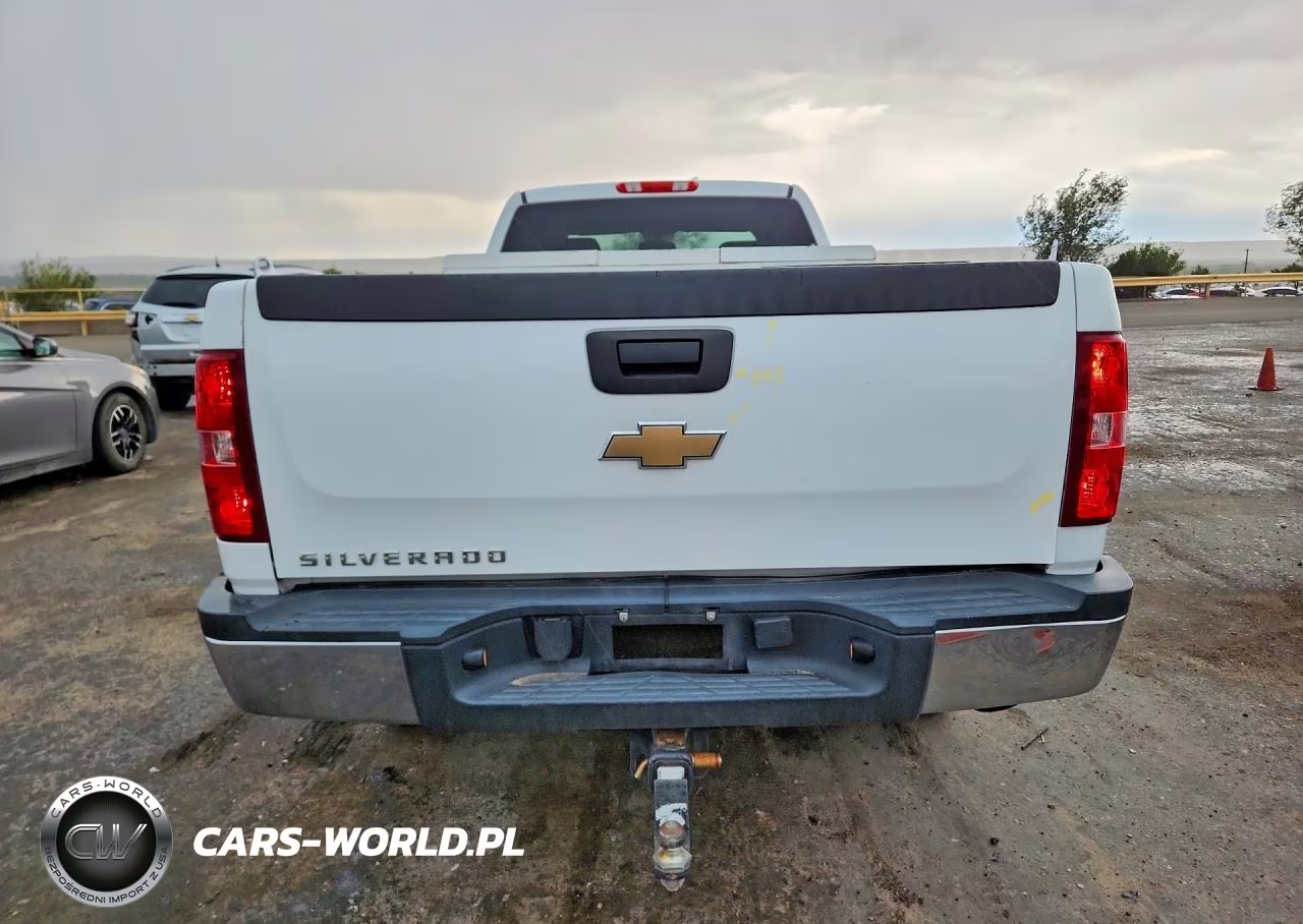 2009 Chevrolet Silverado K2500 Heavy Duty VIN:1GCHK49KX9E102026 - 6