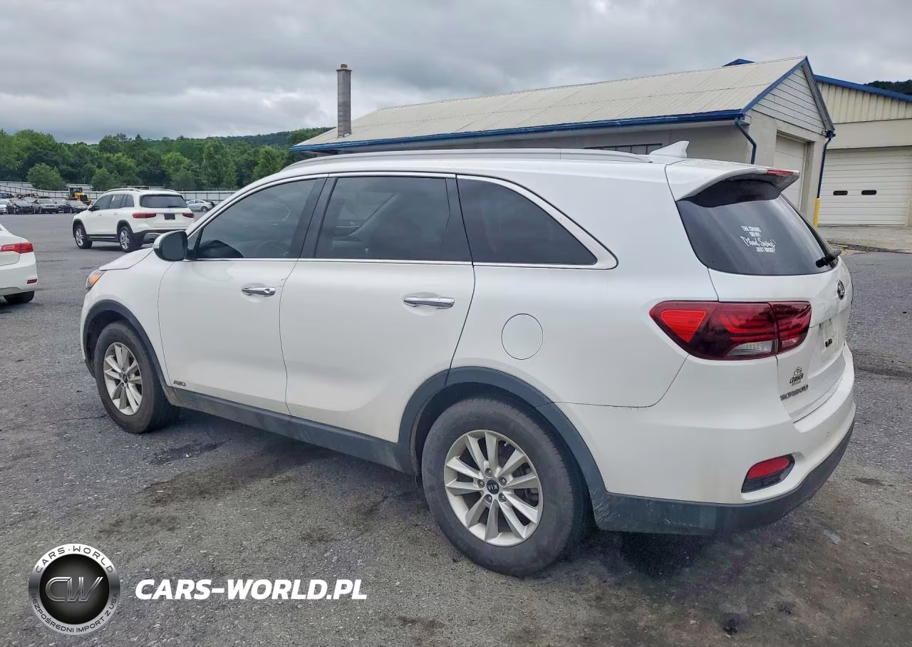 2019 Kia Sorento Lx VIN:5XYPGDA3XKG549390 - 2
