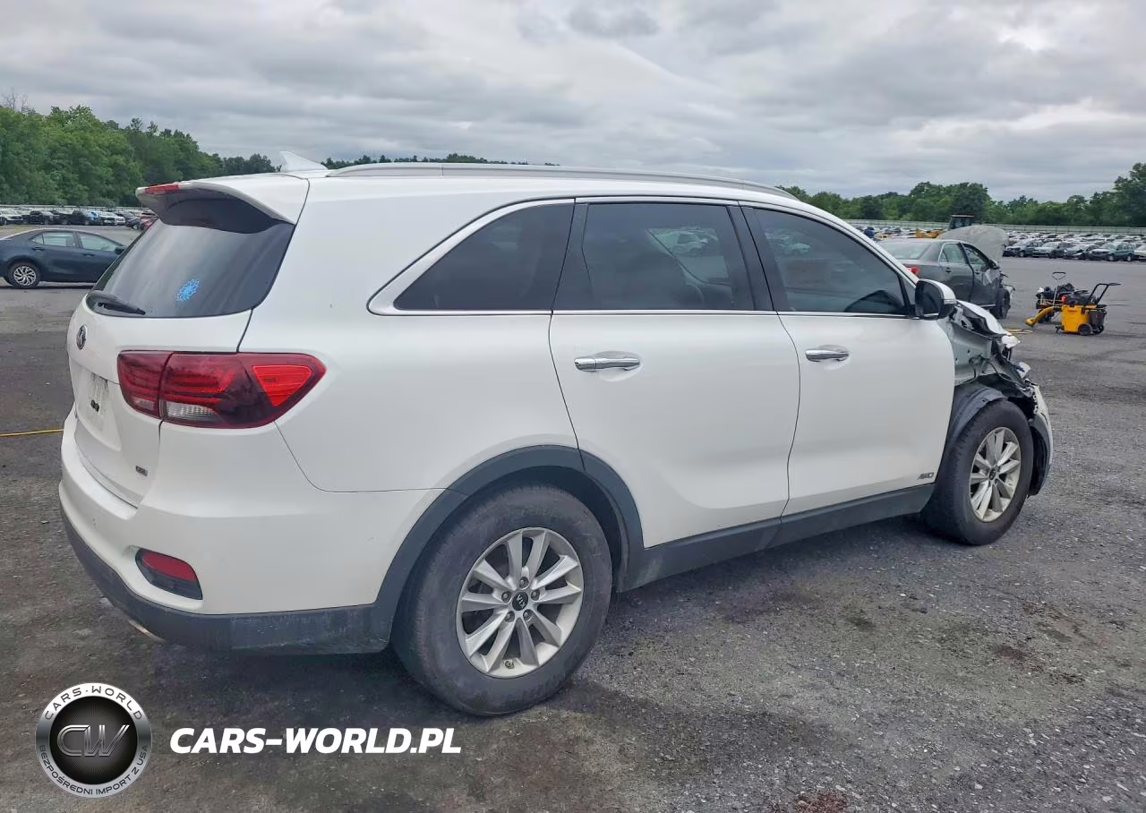 2019 Kia Sorento Lx VIN:5XYPGDA3XKG549390 - 3