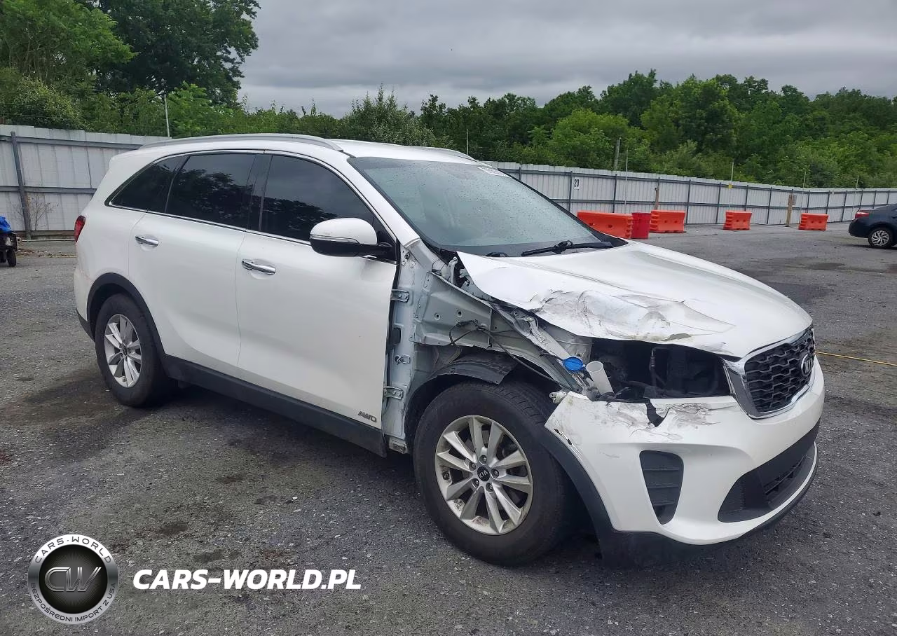 2019 Kia Sorento Lx VIN:5XYPGDA3XKG549390 - 4