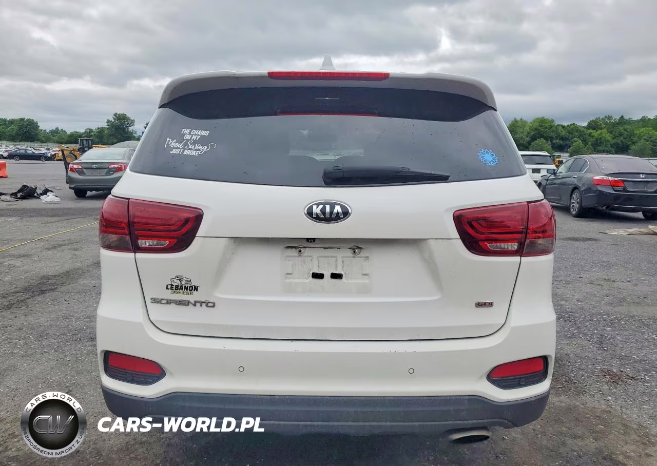 2019 Kia Sorento Lx VIN:5XYPGDA3XKG549390 - 6