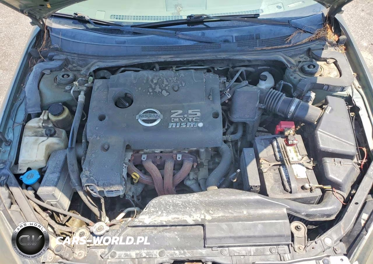 2003 Nissan Altima 2.5 VIN:1N4AL11D93C331493 - 11
