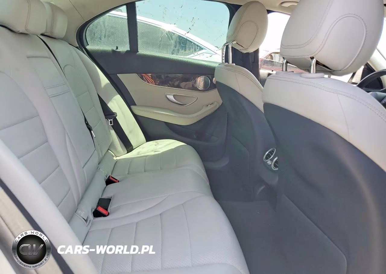 2018 Mercedes-Benz C 350E VIN:55SWF4HB6JU259275 - 10